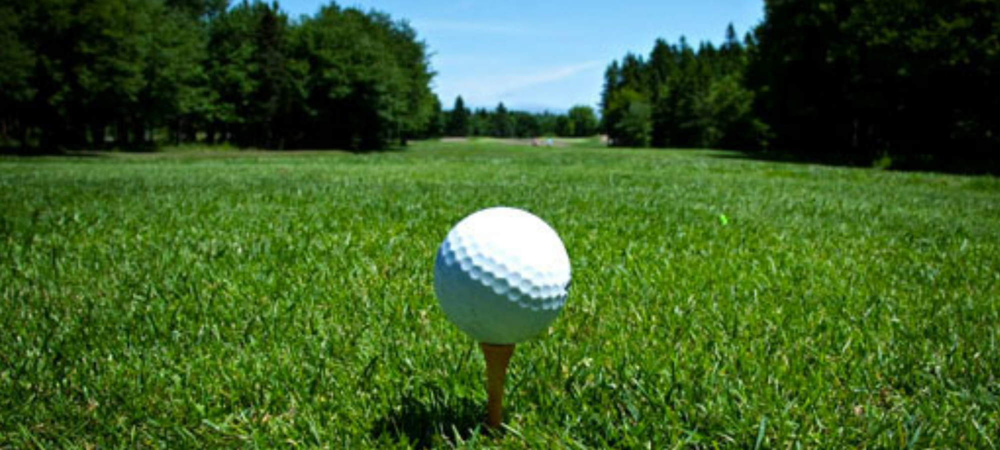 Golf to Begin Fall Season with John Bohmann Memorial Invitational on Monday