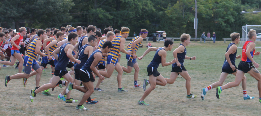 Men's Cross Country takes 3rd in Codfish Bowl Saturday
