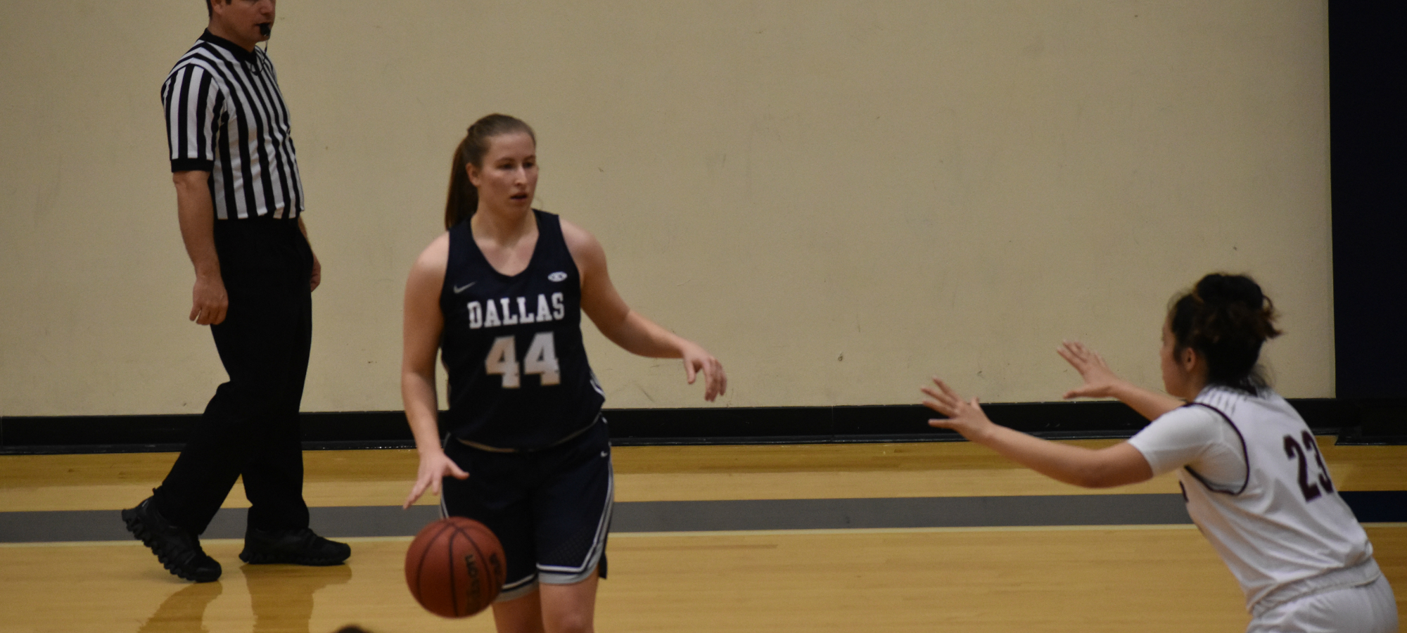 Crusaders Fall at Schreiner University on Friday