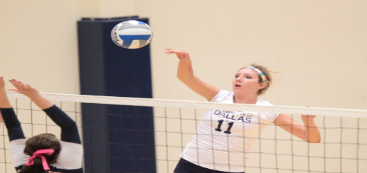 Danielle Fuchs announced as AD3I Volleyball Player of the Week